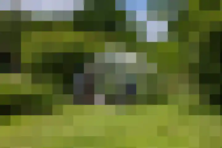 Roudaalterweg 11 Markelo thumbnail 40