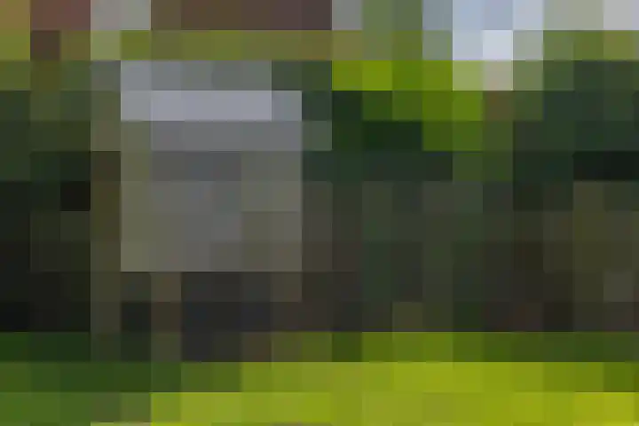 Roudaalterweg 11 Markelo thumbnail 41