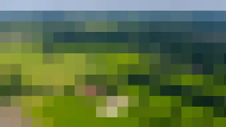 Roudaalterweg 11 Markelo thumbnail 46