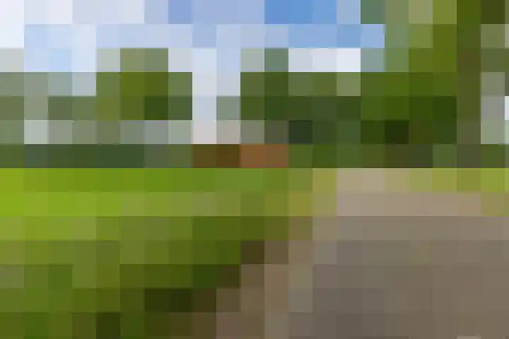 Roudaalterweg 11 Markelo thumbnail 48