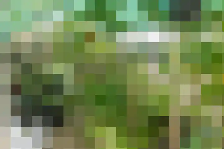 Roudaalterweg 13 Markelo thumbnail 37