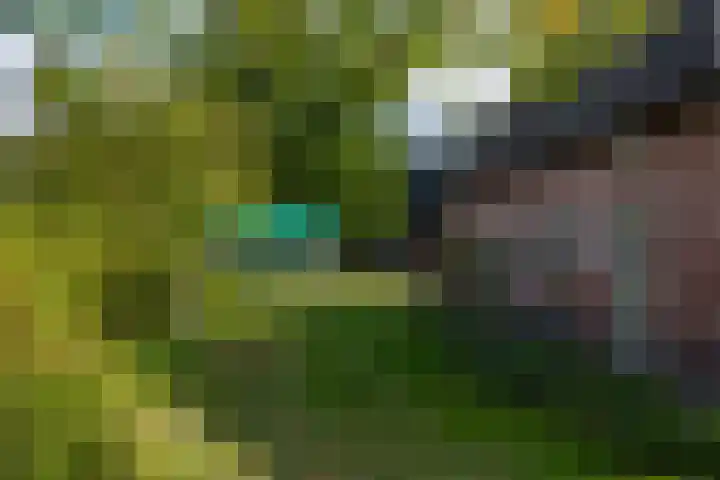 Roudaalterweg 13 Markelo thumbnail 42