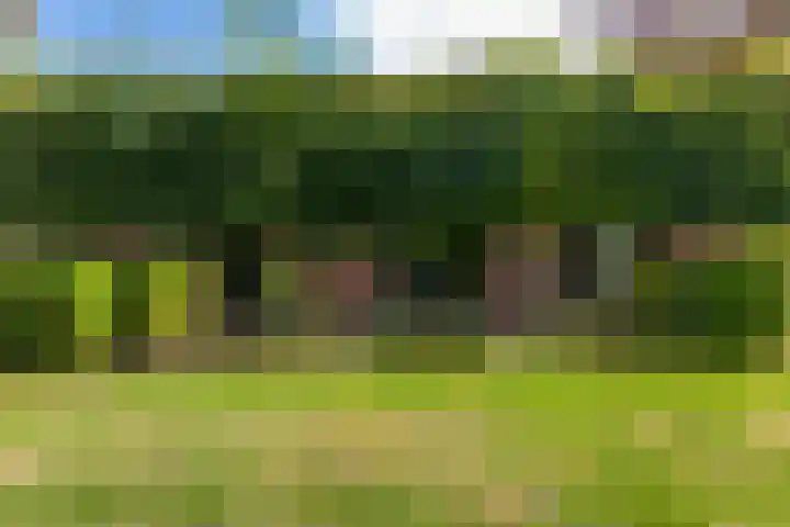Roudaalterweg 13 Markelo thumbnail 43