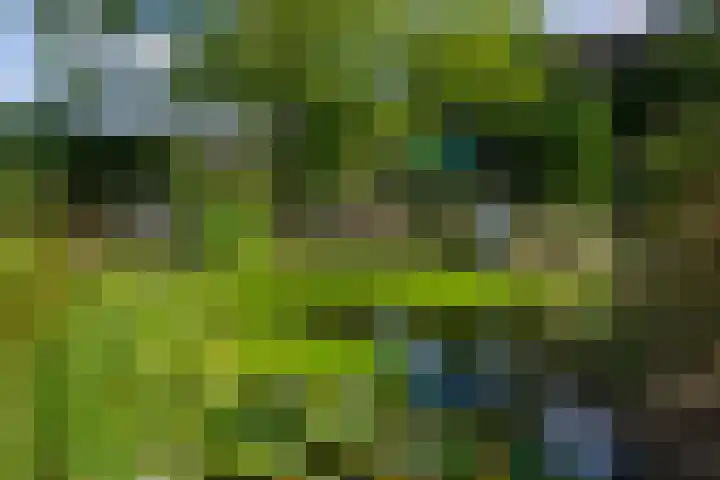 Roudaalterweg 13 Markelo thumbnail 44