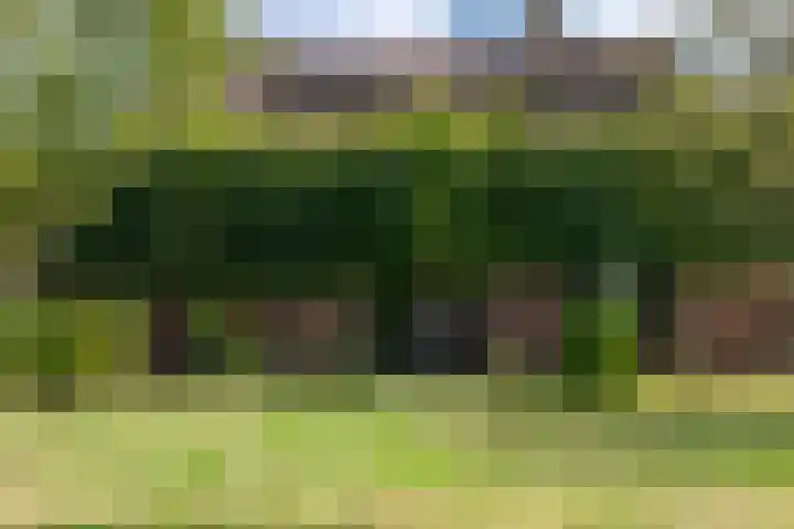 Roudaalterweg 13 Markelo thumbnail 45