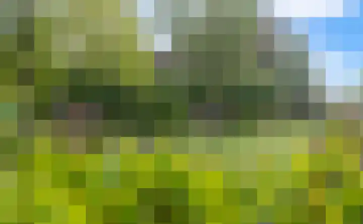 Roudaalterweg 13 Markelo thumbnail 46