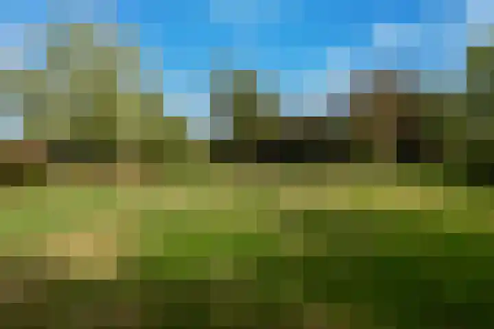 Roudaalterweg 13 Markelo thumbnail 47