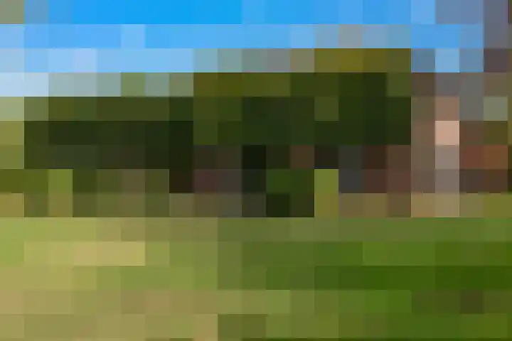 Roudaalterweg 13 Markelo thumbnail 48
