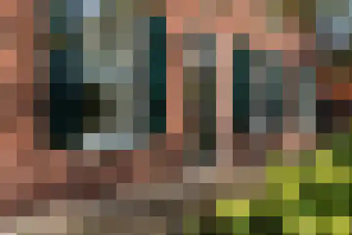 Roudaalterweg 13 Markelo thumbnail 49