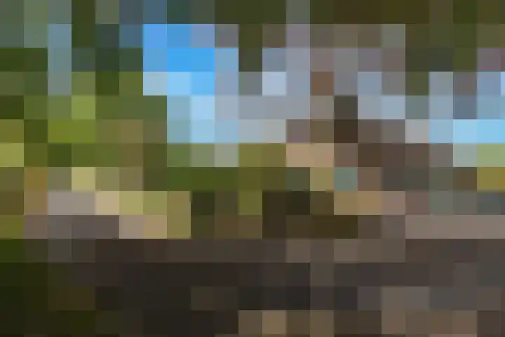 Roudaalterweg 13 Markelo thumbnail 50