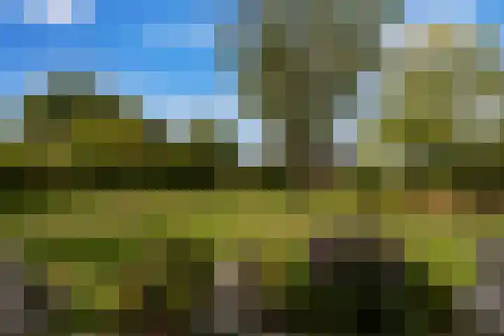 Roudaalterweg 13 Markelo thumbnail 51