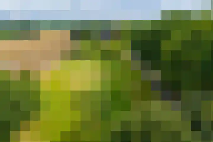 Roudaalterweg 13 Markelo thumbnail 54
