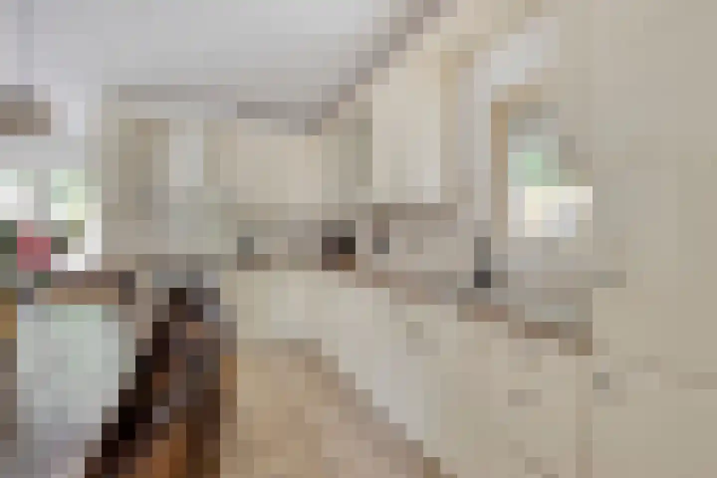 Rouenlaan 121 Eindhoven thumbnail 17