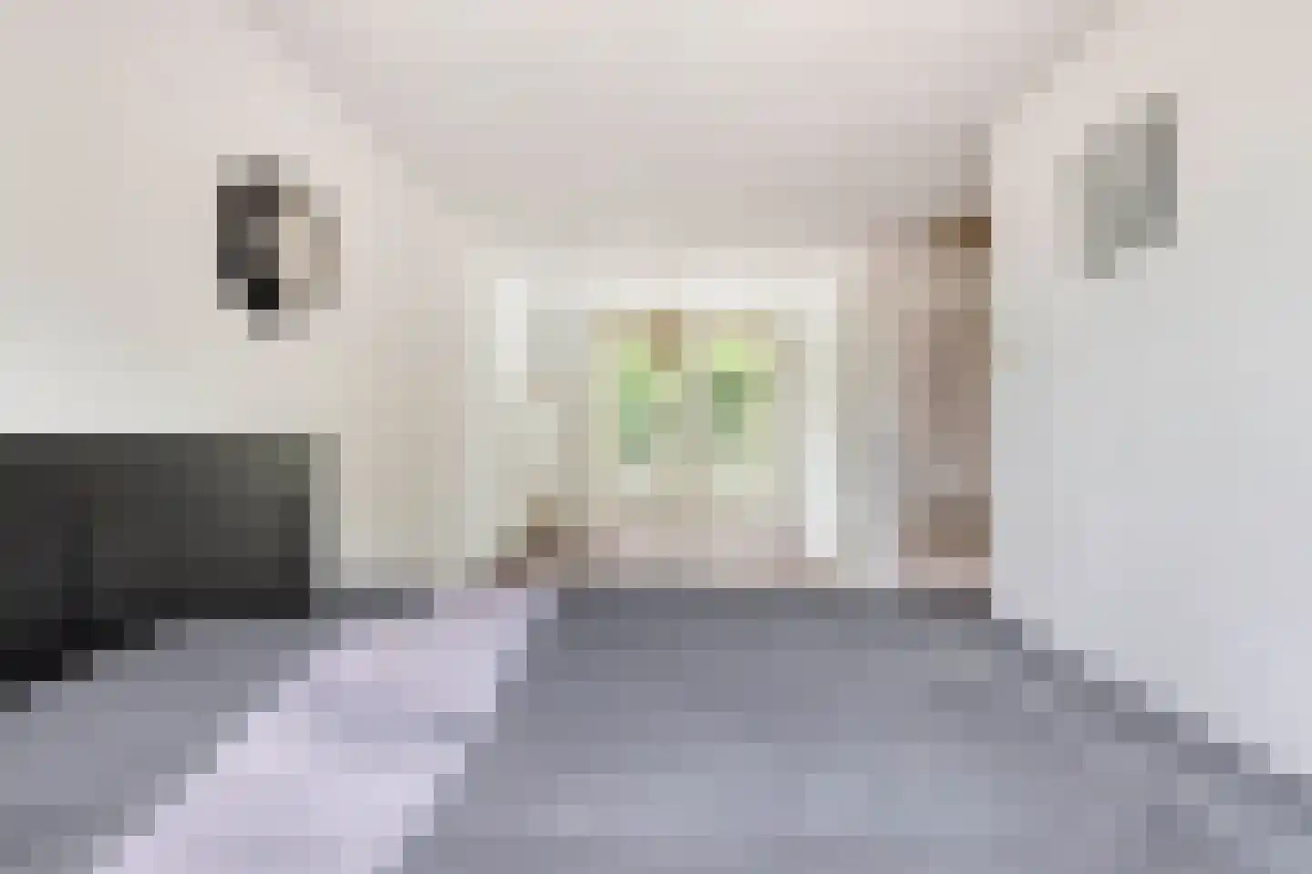 Rouenlaan 121 Eindhoven thumbnail 20