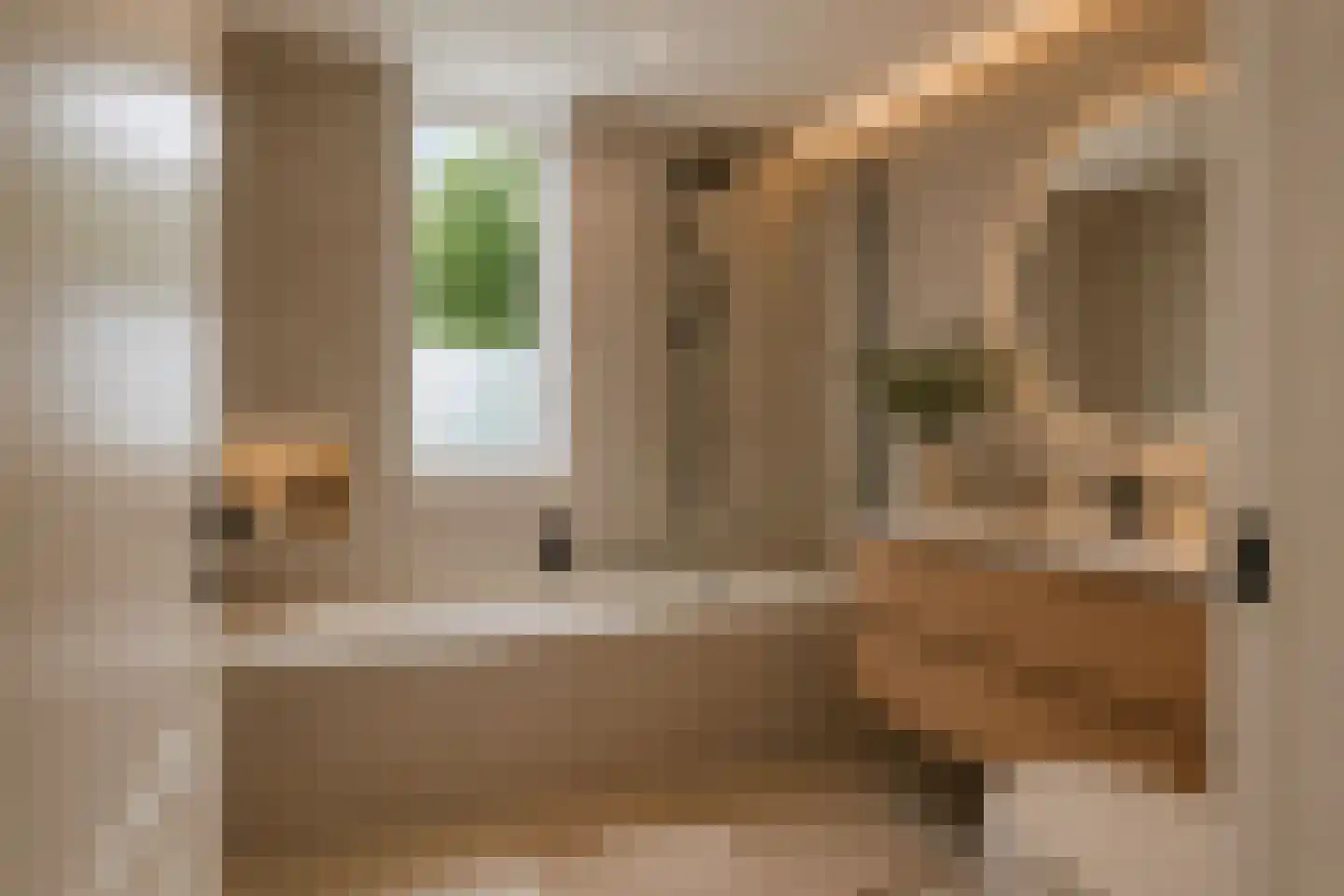 Rouenlaan 121 Eindhoven thumbnail 22