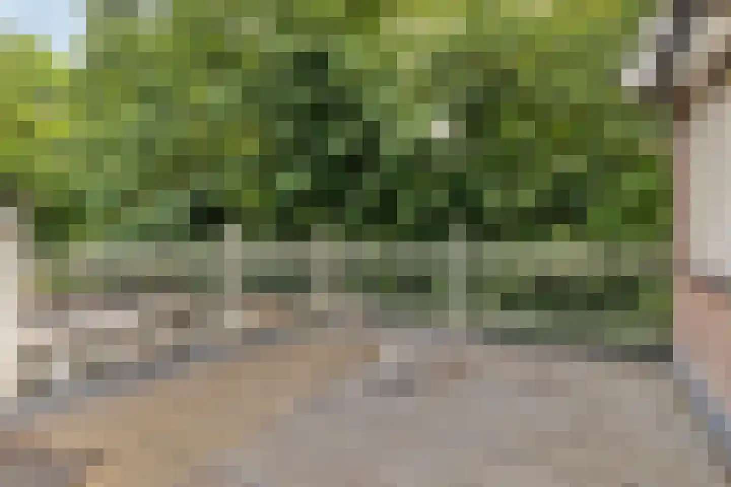 Rouenlaan 121 Eindhoven thumbnail 26