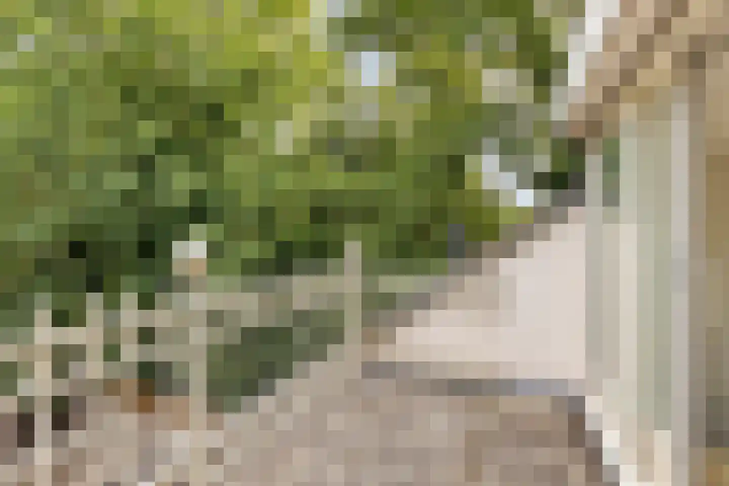 Rouenlaan 121 Eindhoven thumbnail 31