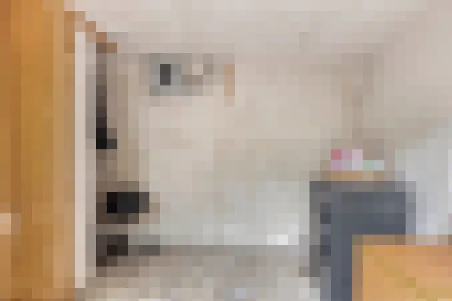 Rouenlaan 121 Eindhoven thumbnail 44
