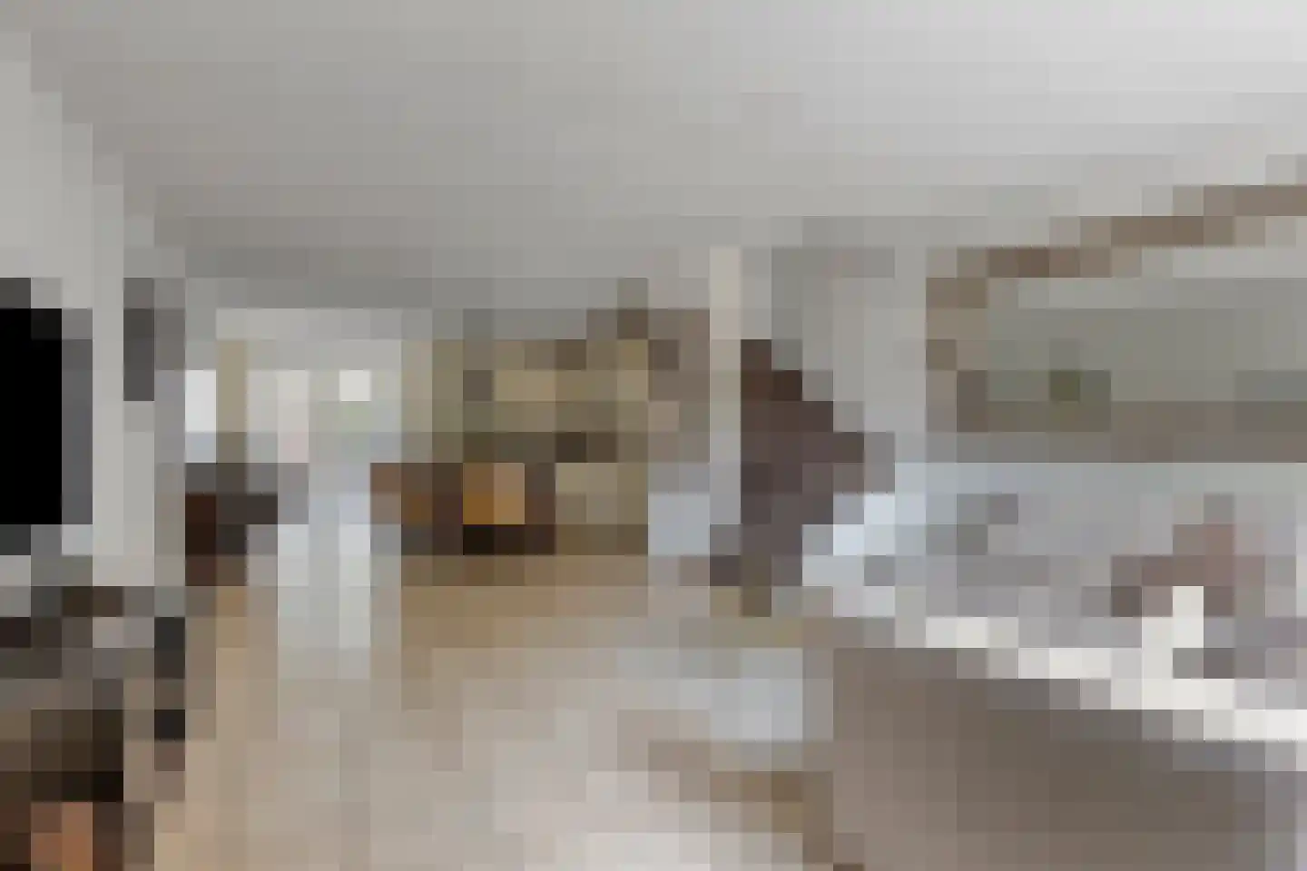 Rouenlaan 121 Eindhoven thumbnail 8