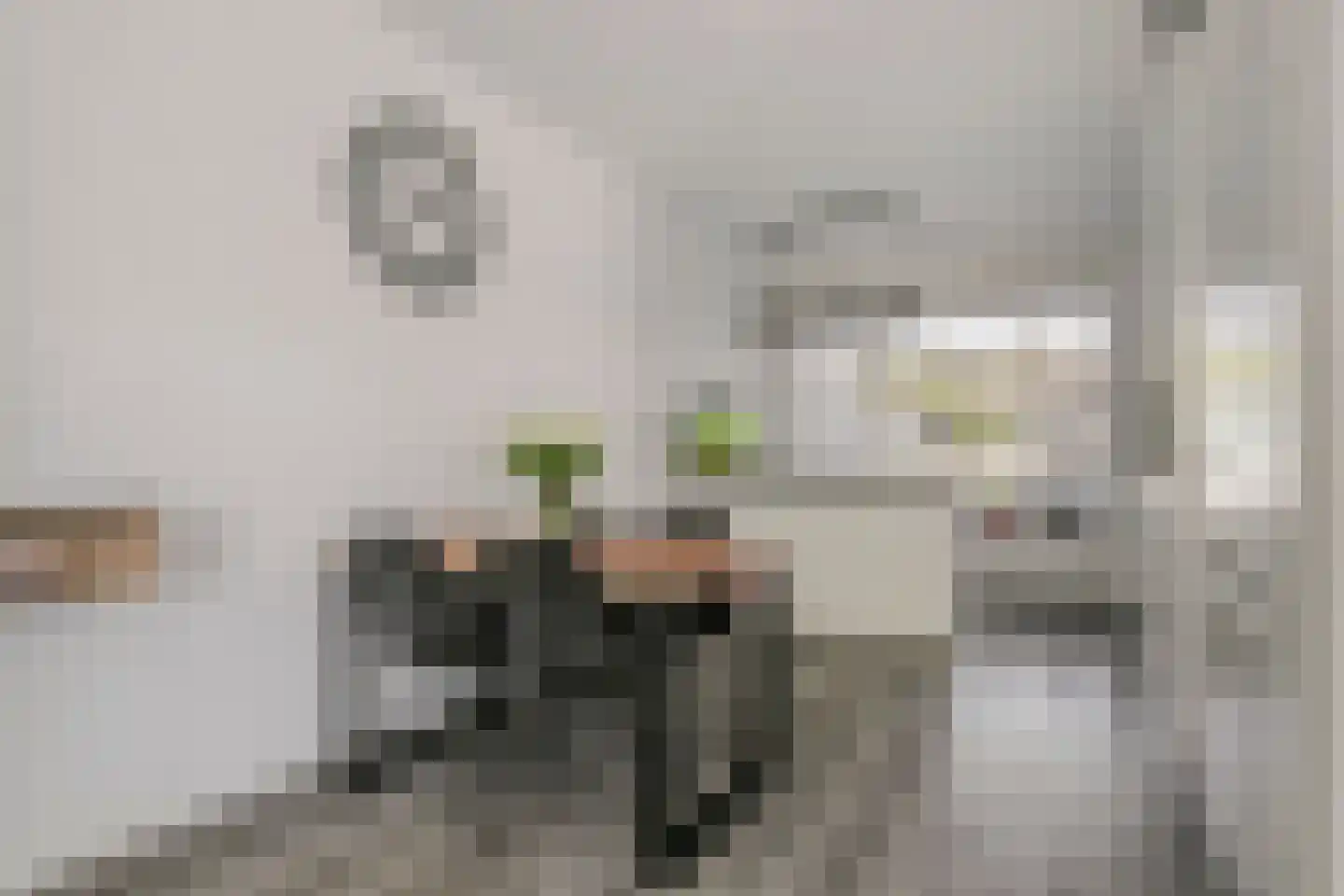 Rouenlaan 26 Eindhoven thumbnail 16