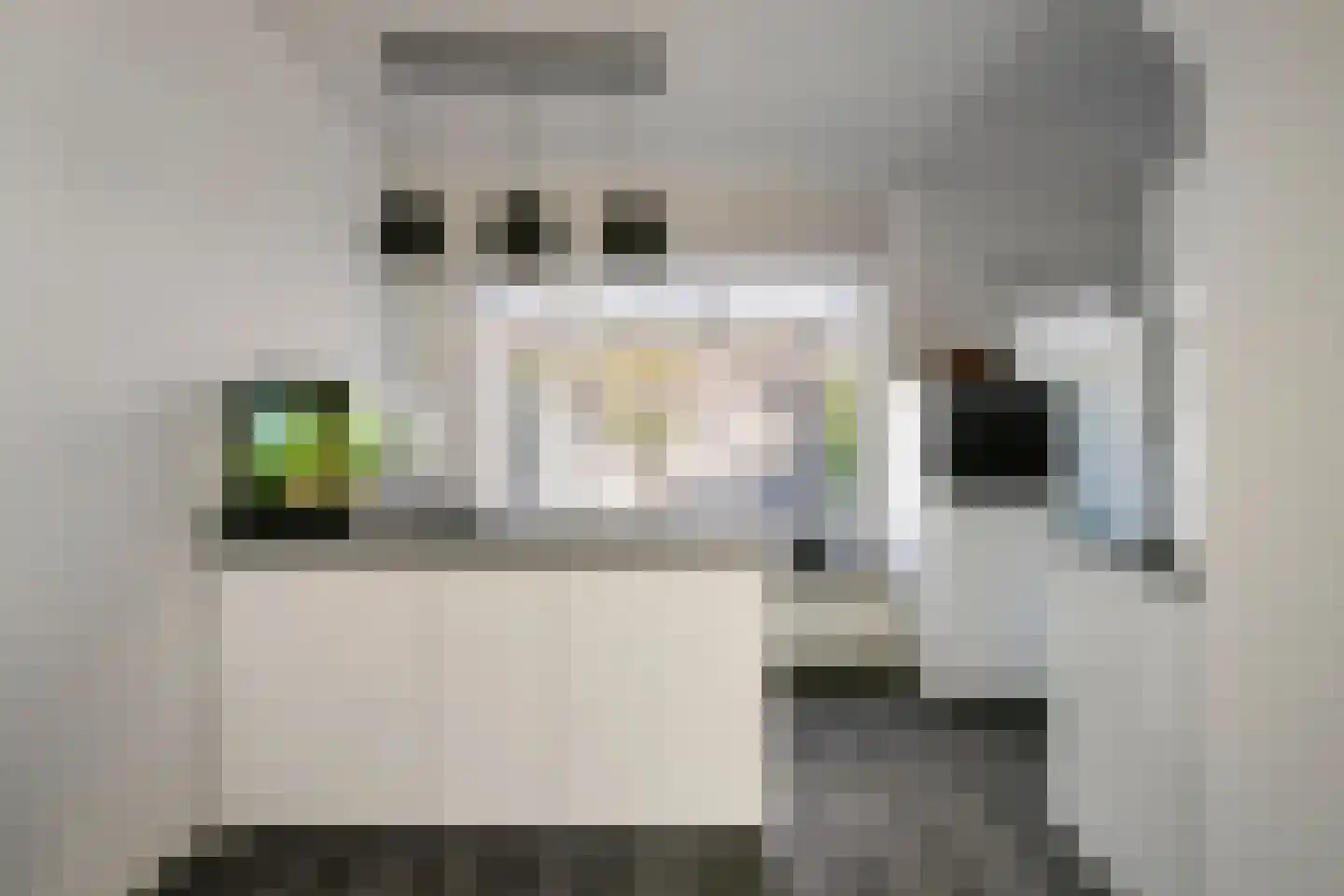 Rouenlaan 26 Eindhoven thumbnail 17