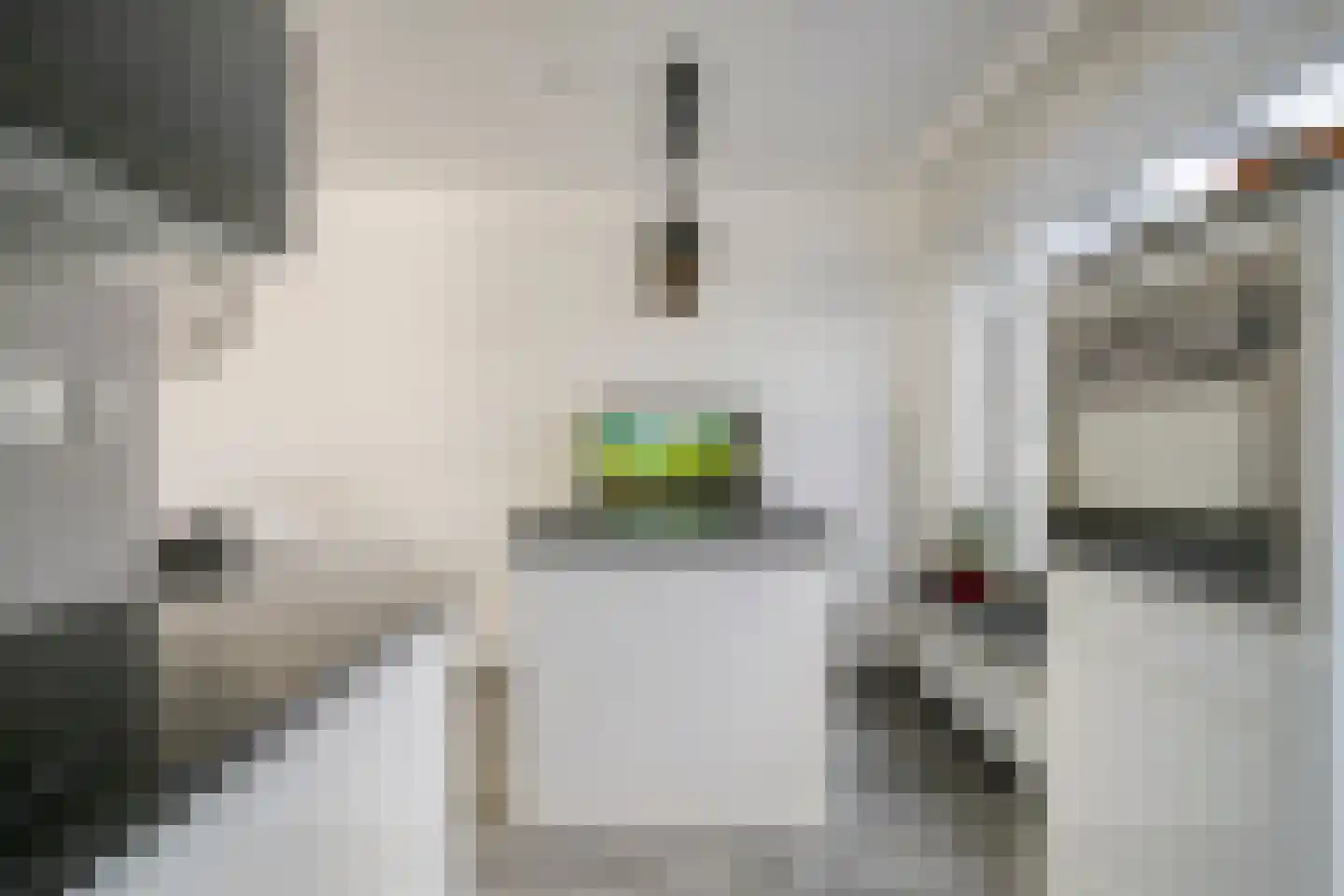 Rouenlaan 26 Eindhoven thumbnail 19