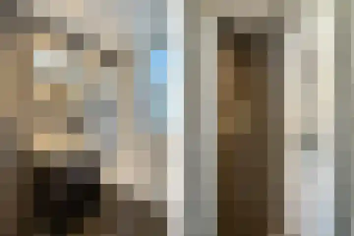 Rouenlaan 93 Eindhoven thumbnail 20