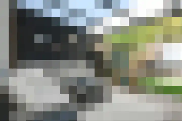 Rouenlaan 93 Eindhoven thumbnail 23