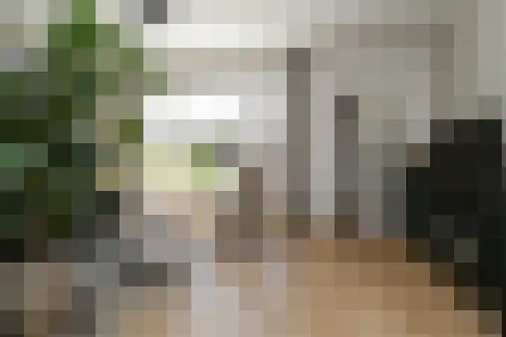Rouenlaan 93 Eindhoven thumbnail 6