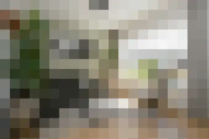 Rouenlaan 93 Eindhoven thumbnail 7