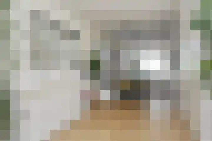 Rouenlaan 93 Eindhoven thumbnail 9