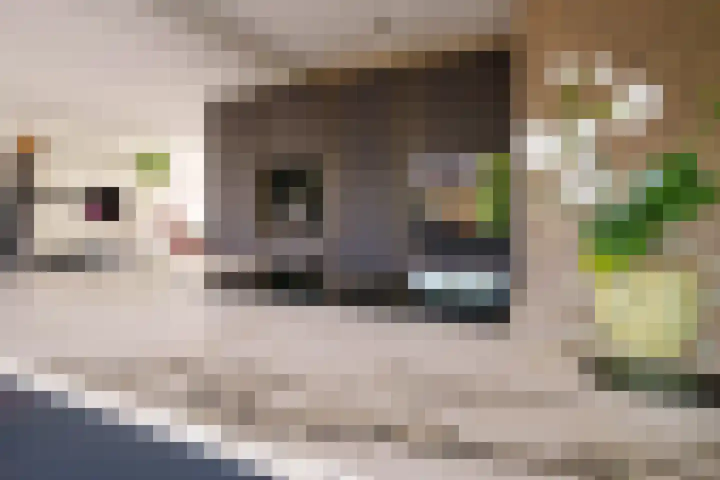 Rougestraat 3 Almere thumbnail 12