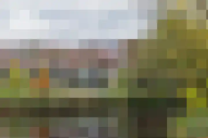 Rougestraat 3 Almere thumbnail 15