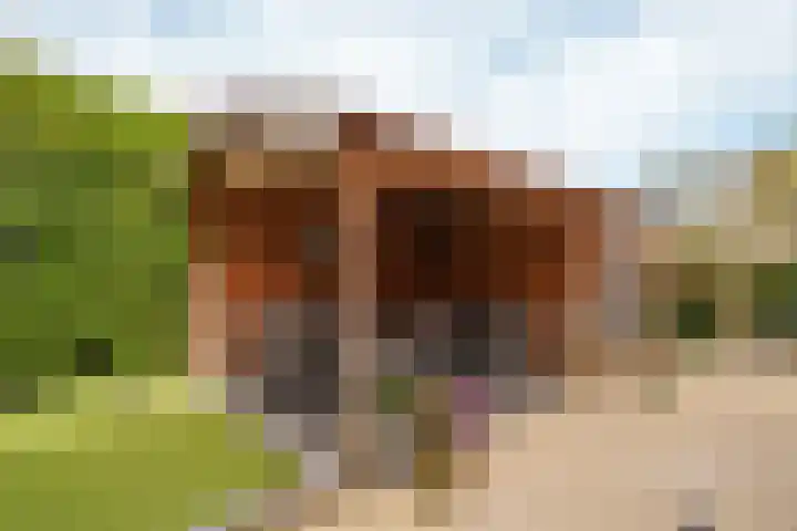 Rougestraat 3 Almere thumbnail 43