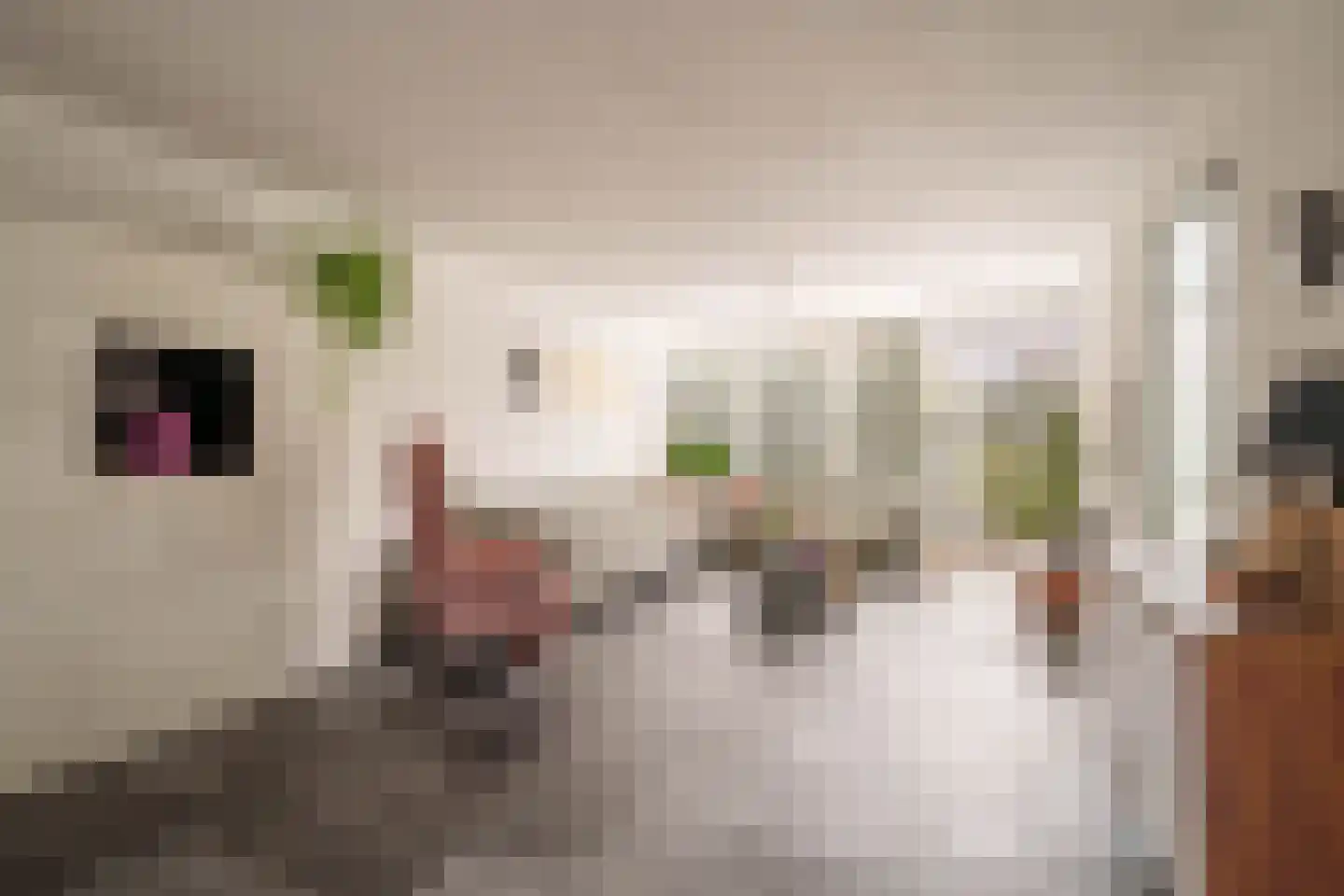 Rougestraat 3 Almere thumbnail 5