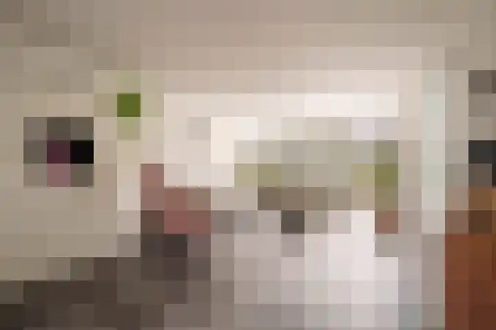 Rougestraat 3 Almere thumbnail 5