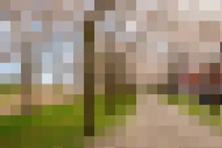 Rougestraat 3 Almere thumbnail 58