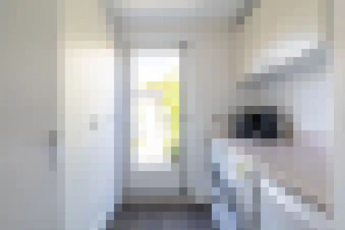 Roulet 31 Kaatsheuvel thumbnail 17