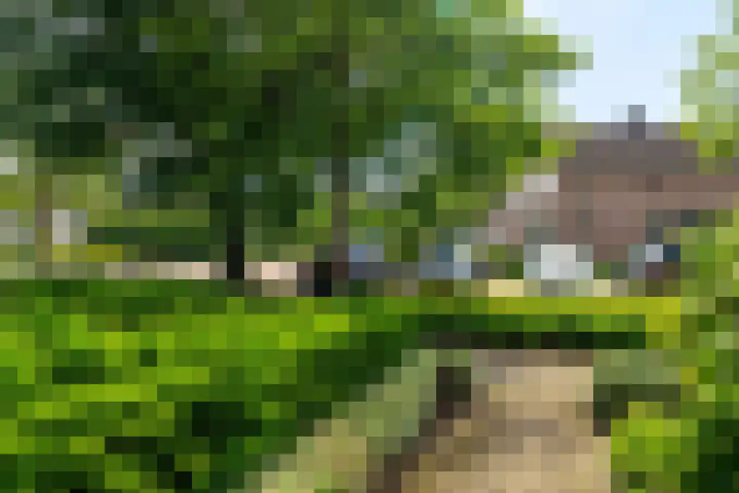 Roulet 31 Kaatsheuvel thumbnail 35