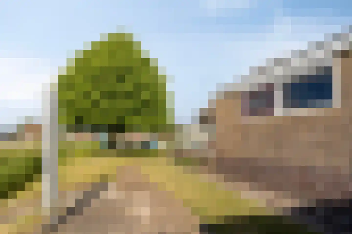 Roundeel 50 Oudega thumbnail 12