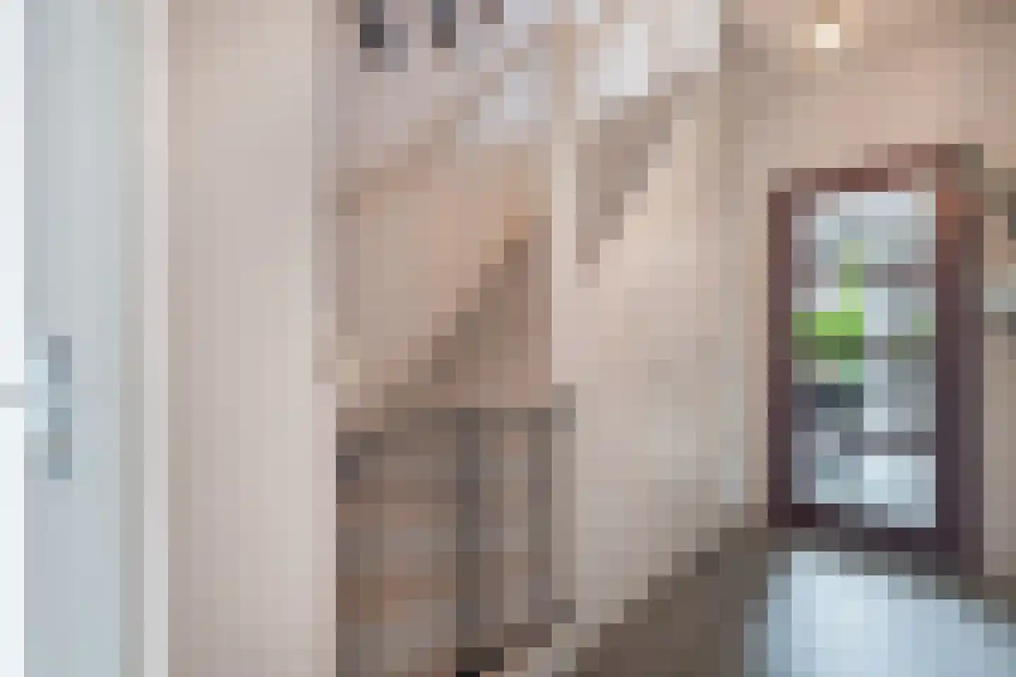 Roune Leane 2 Oudemirdum thumbnail 12