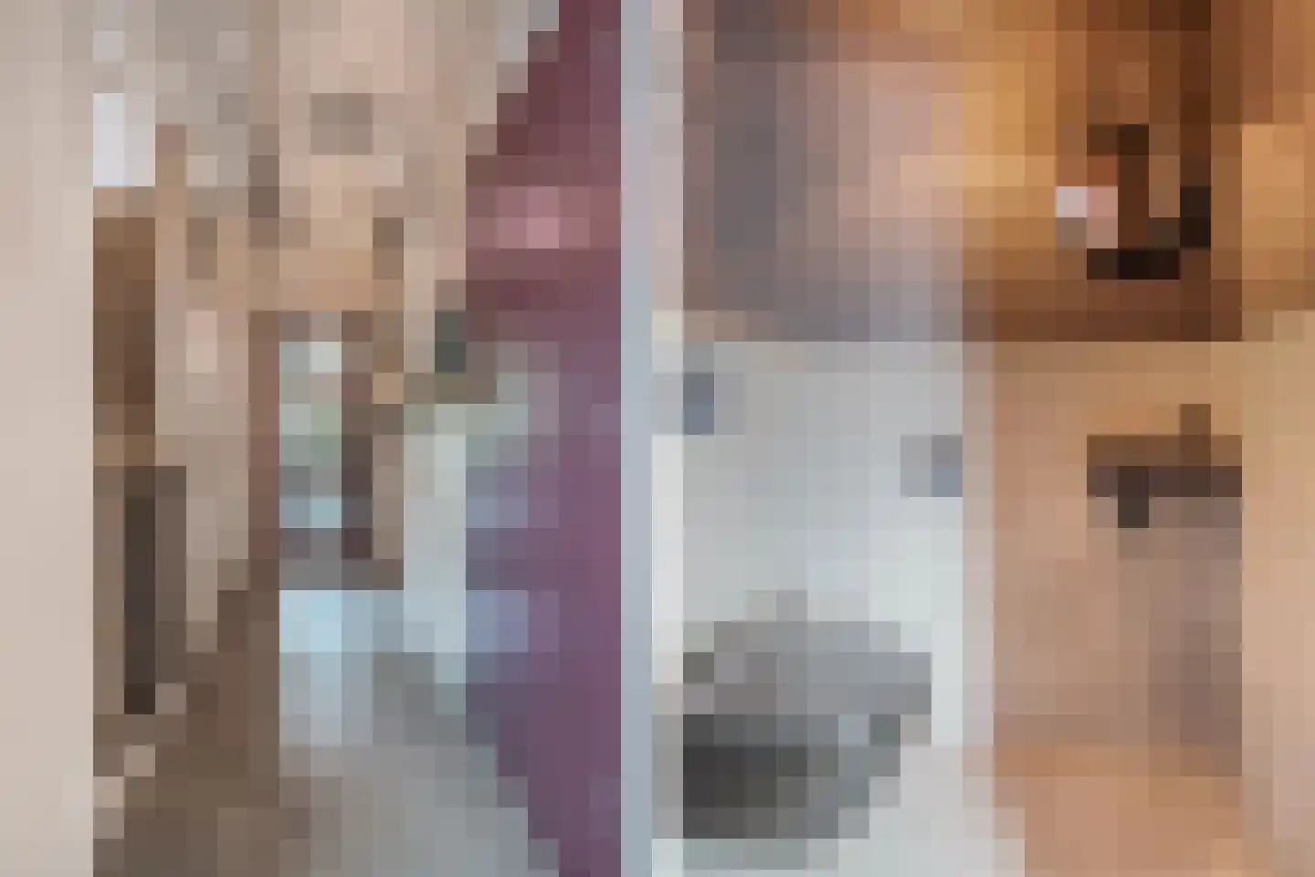 Roune Leane 2 Oudemirdum thumbnail 13