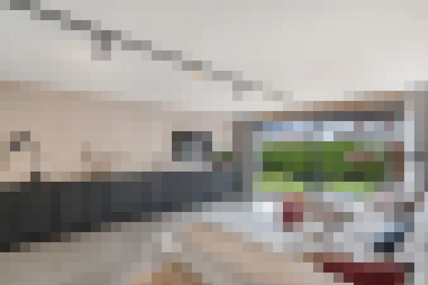 Roune Leane 2 Oudemirdum thumbnail 14