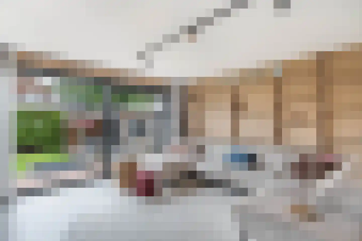 Roune Leane 2 Oudemirdum thumbnail 15