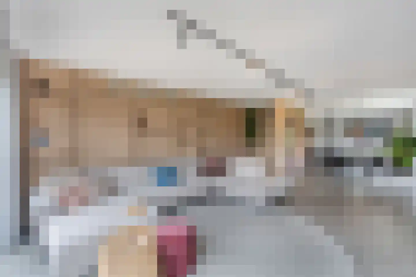 Roune Leane 2 Oudemirdum thumbnail 16