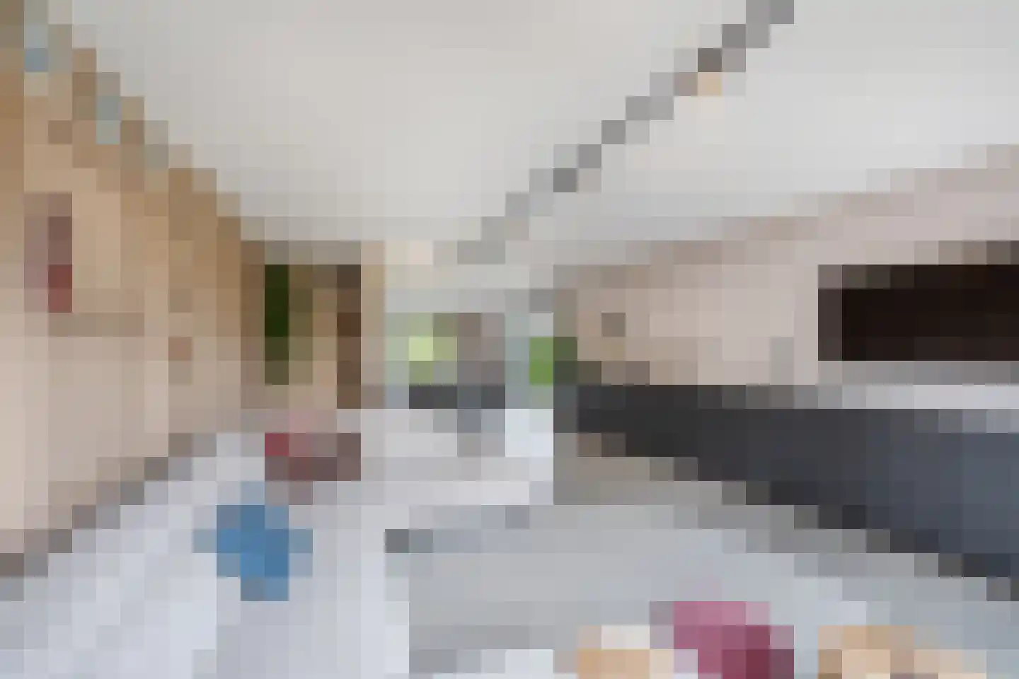 Roune Leane 2 Oudemirdum thumbnail 17