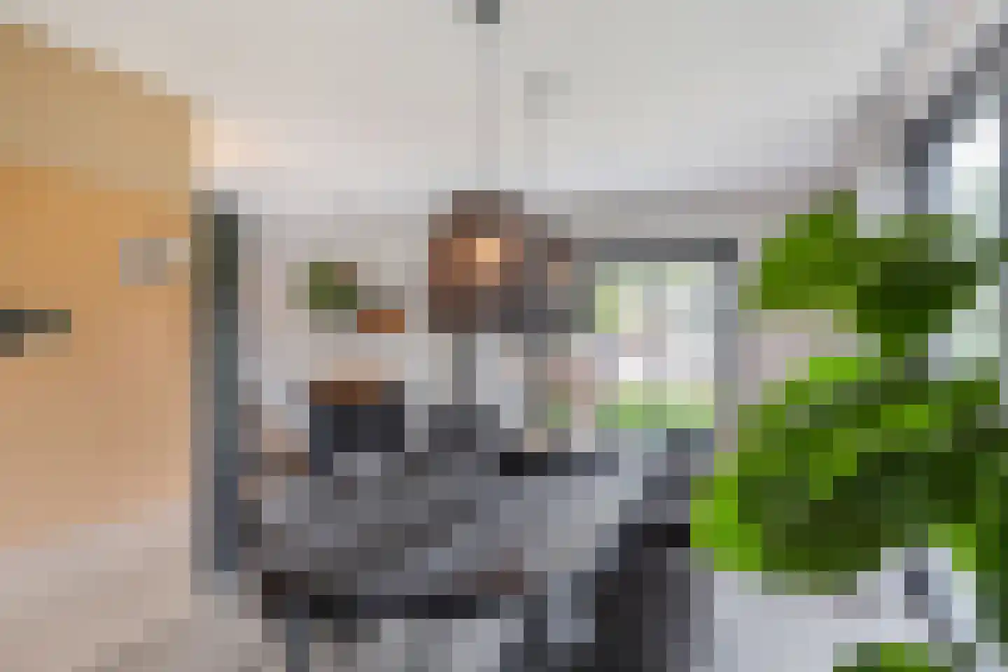 Roune Leane 2 Oudemirdum thumbnail 18
