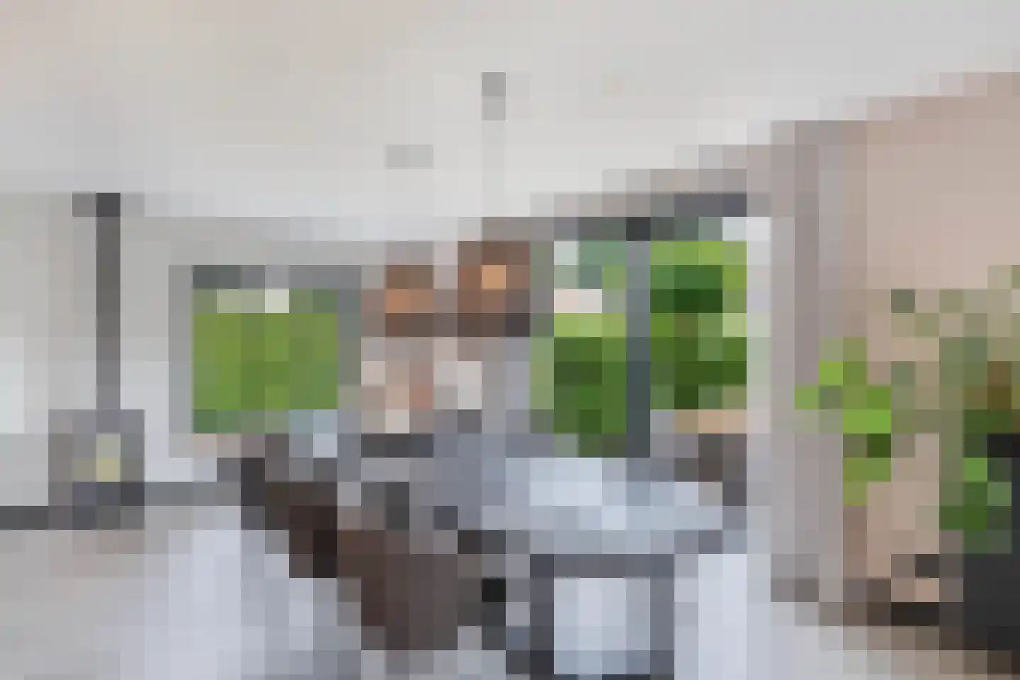 Roune Leane 2 Oudemirdum thumbnail 19