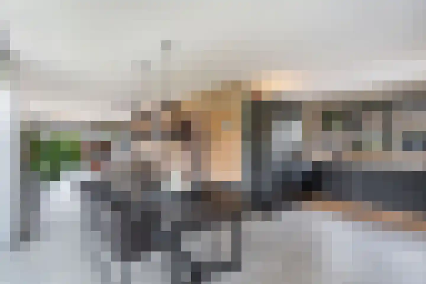 Roune Leane 2 Oudemirdum thumbnail 20