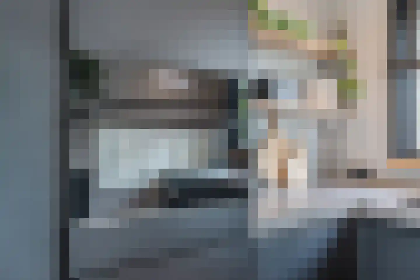 Roune Leane 2 Oudemirdum thumbnail 22